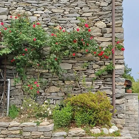 Residenza Paradiso